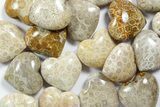 1.4" Fossil Coral Heart From Indonesia - Photo 4